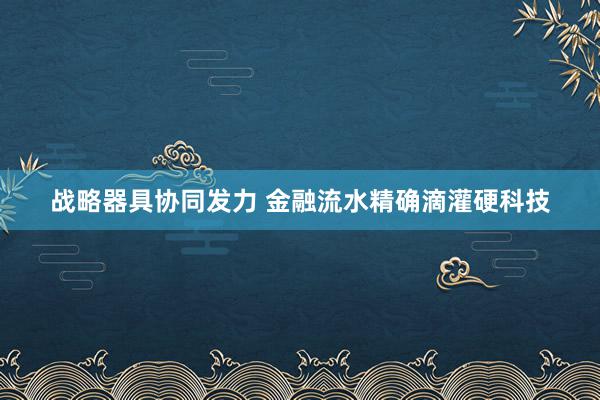 战略器具协同发力 金融流水精确滴灌硬科技